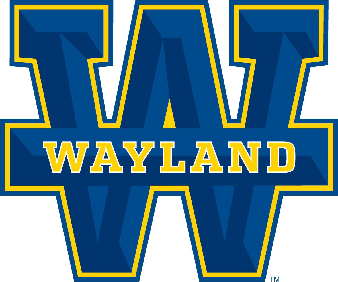 Team Logo